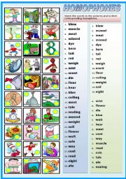 English Worksheet: HOMOPHONES-MATCHING EXERCISE (B&W VERSION INCLUDED)