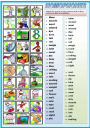 HOMOPHONES-MATCHING EXERCISE (B&W VERSION INCLUDED)