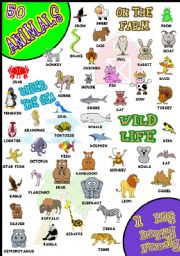 English Worksheet: 50 ANIMALS PICTIONARY WOW!