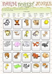 English Worksheet: Animals from the farm, forest and jungle - - 2 pages - -