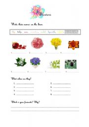 English worksheet: flowers 