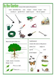 English Worksheet: In the Garden