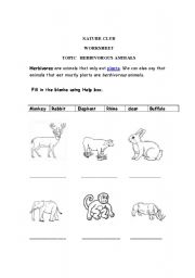 English worksheet: Herbivores animals