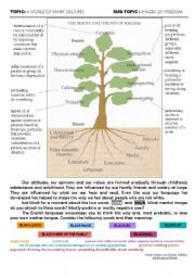 English Worksheet: The Roots and Fruits of Racism