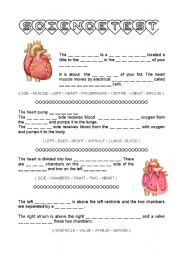 test about cardiovascular system