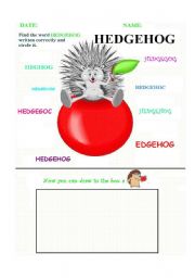 English worksheet: Circle the right word - Hedgehog