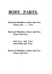 English Worksheet: senses