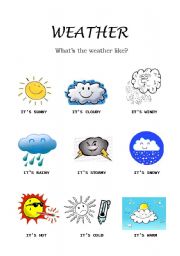 English Worksheet: weather