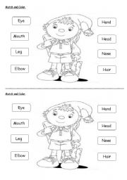 English Worksheet: Body parts