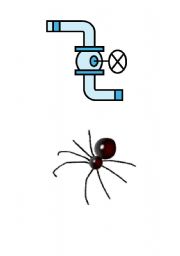 The Itsy Bitsy Spider Song - ESL worksheet by carolinekmurray