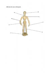 English worksheet: Test - body parts