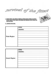 English worksheet: Animal Adaptation