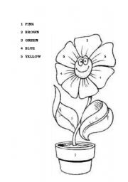 English Worksheet: color the flower