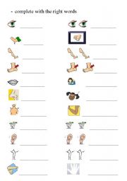 English Worksheet: PRACTICE SINGULAR AND PLURAL WITH THE PARTS OF THE BODY