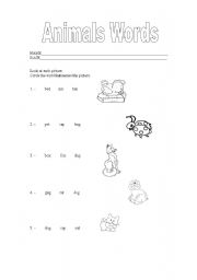 English worksheet: animals words