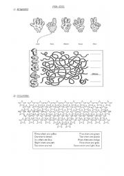 English Worksheet: Numbers, colours and animals. SPECIAL WORK