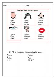 English worksheet: my head