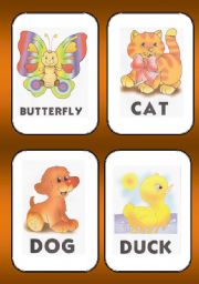 ANIMALS FLASHCARD