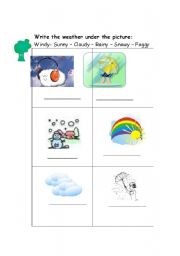 English worksheet: weather worksheet 