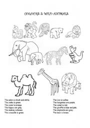 English Worksheet: Colours and wild animals