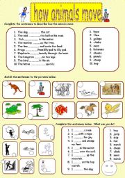 English Worksheet: how animals move