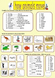 how animals move