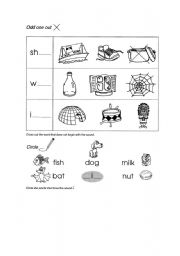 English worksheet: What sound?