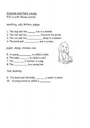 English worksheet: ANIMALS AND THEIR YOUNG