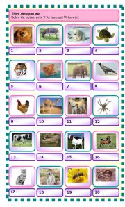 English Worksheet: wild and tame animals