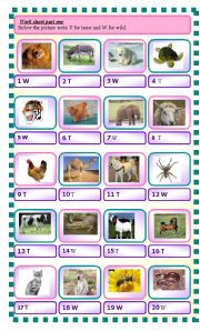 English Worksheet: wild and tame animals