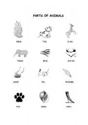 Parts of Animals