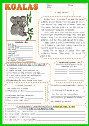 English Worksheet: KOALAS. READING , comprehension (fully editable) + KEY