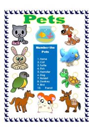 English Worksheet: Pets