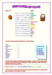 English worksheet: SPRING FLOWERS AND COLOURS