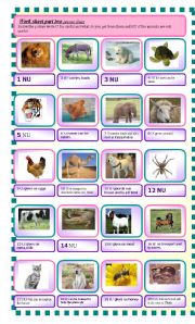 English Worksheet: kNOW THE ANIMALS