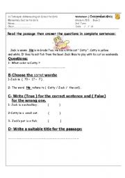 English worksheet: Reading Comprehension