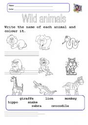 English Worksheet: Wild animals