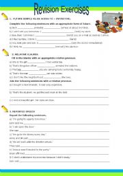 English Worksheet: Relative Clauses + Reported Speech + Future