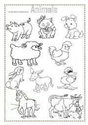 English Worksheet: ANIMALS