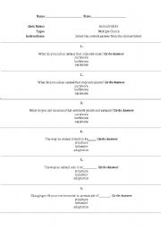 English Worksheet: Animal Habits
