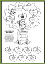 English Worksheet: The story of an apple