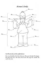 English Worksheet: Homers body