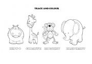 English Worksheet: trace and colour animals