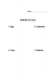 English Worksheet: Butterfly Life Cycle Cut and Paste Page 1