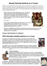 English Worksheet: should animals perform in a circus