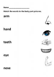 English worksheet: Body Parts Matching