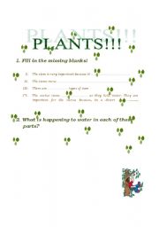 English Worksheet: Plants!