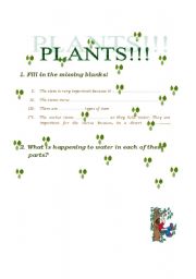 English worksheet: Plants!