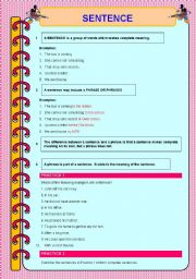 English Worksheet: basic grammar