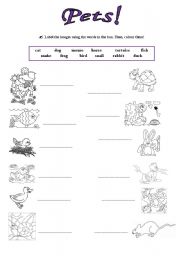 English Worksheet: Pets!